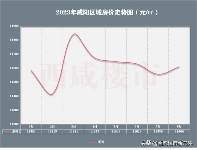 无极房价走势揭秘，最新消息、市场趋势与未来展望