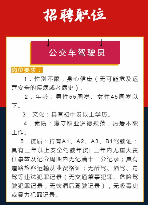 宣威最新驾驶员招聘信息与相关细节深度解析