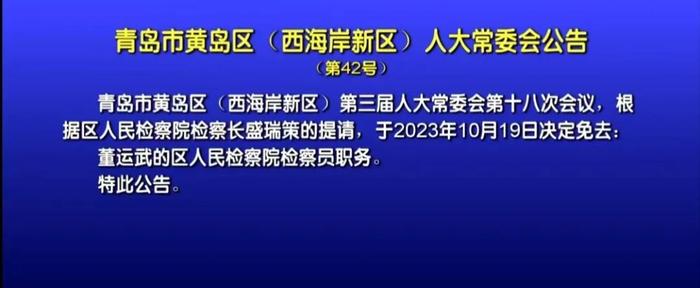 青岛人事任免最新消息深度解析