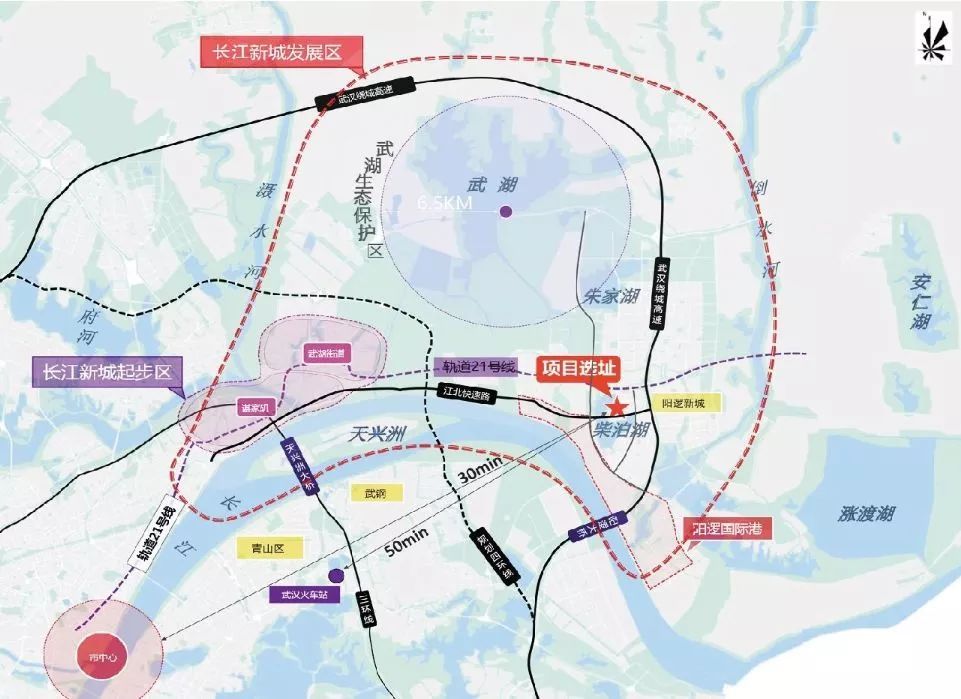 新洲问津大道最新动态深度剖析