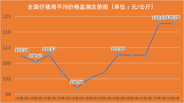 今日猪价走势分析，最新价格及趋势预测