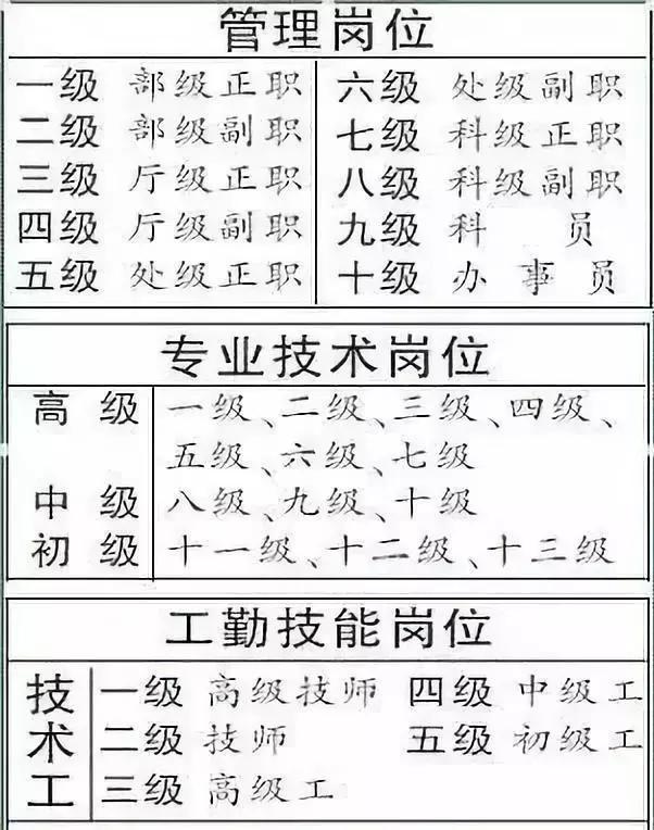 济南职级并行最新消息全面解读与分析