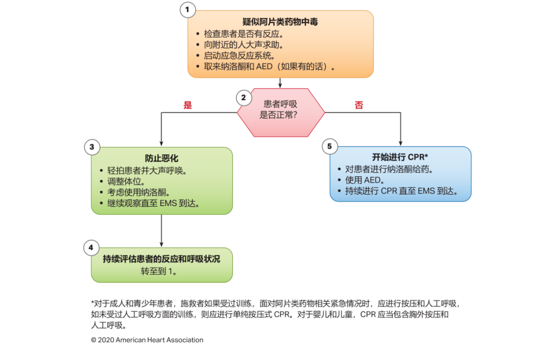 心肺复苏指南最新版解读，关键更新与操作指南（2020年）