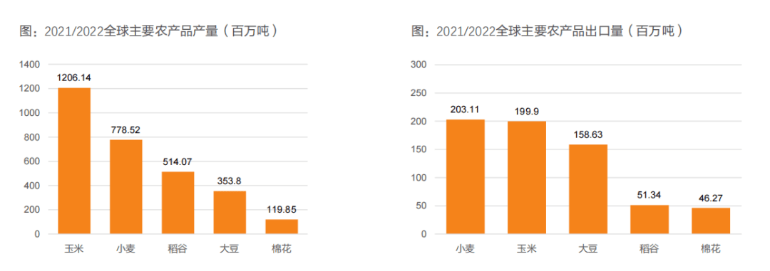 新澳王中王资料大全,帮助读者避免重蹈覆辙