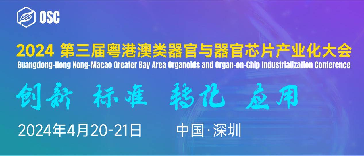 新澳门网投是真的吗,其中“新澳门网投”作为一个备受关注的平台