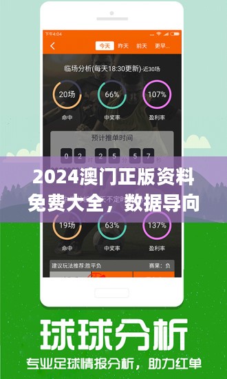 2024新澳精准正版资料：权威数据助力决策与投资