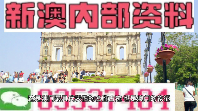 澳门最精准免费资料大全旅游团,三、免费导览服务：深入了解澳门文化