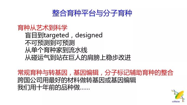 新澳最新最快资料新澳60期,总结你学到的编程技巧和遇到的挑战