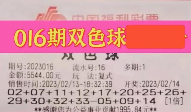 2021224双色球开奖结果,本文都将为你提供详细的步骤和示例