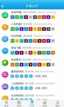 新澳门王中王100%期期中,：记录每次投注的颜色、金额和结果