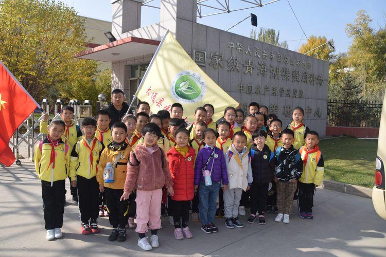 青海湖路小学最新动态更新