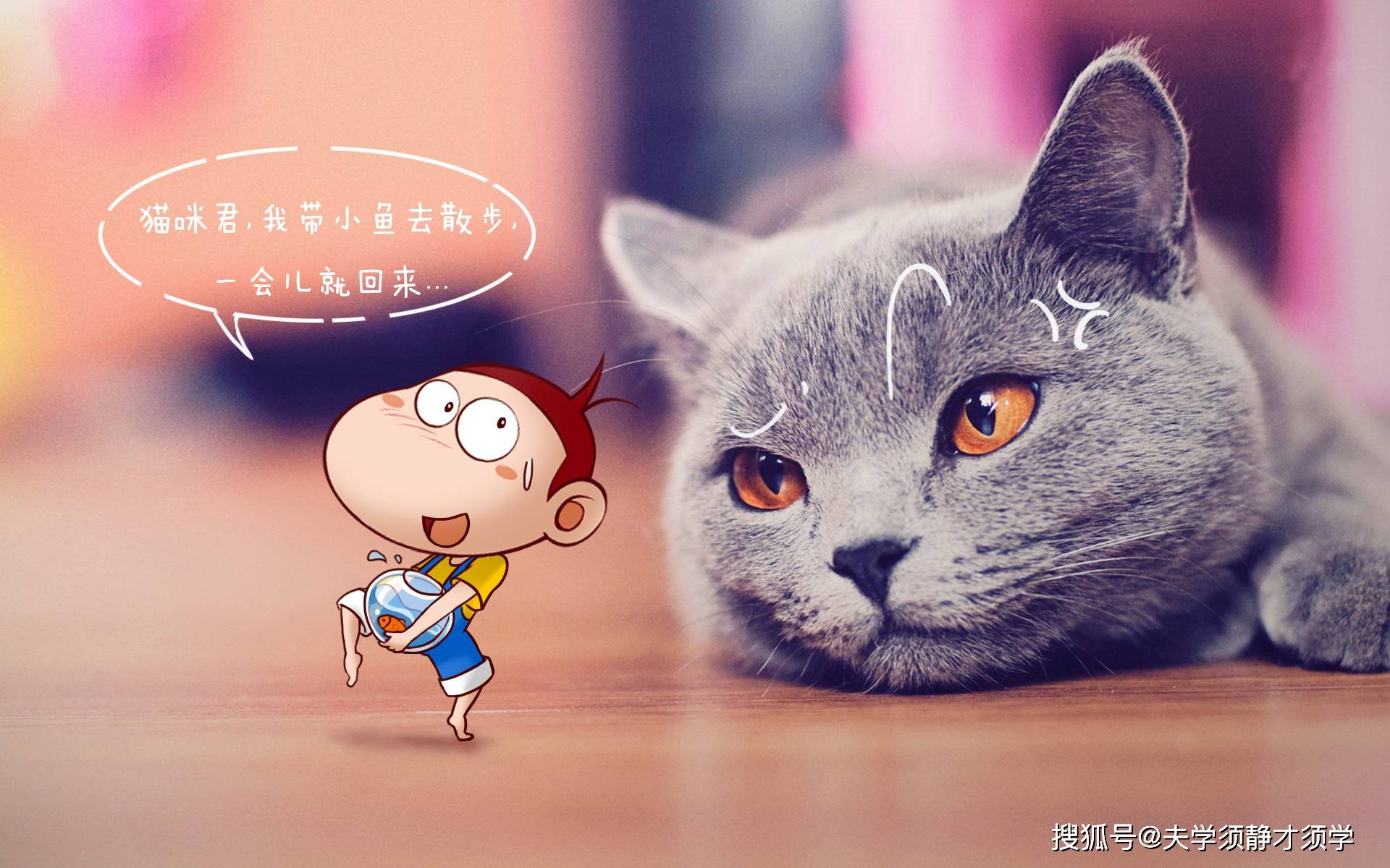 澳门天天好好兔费资料,猫咪溃烂怎么_钻石版3.147