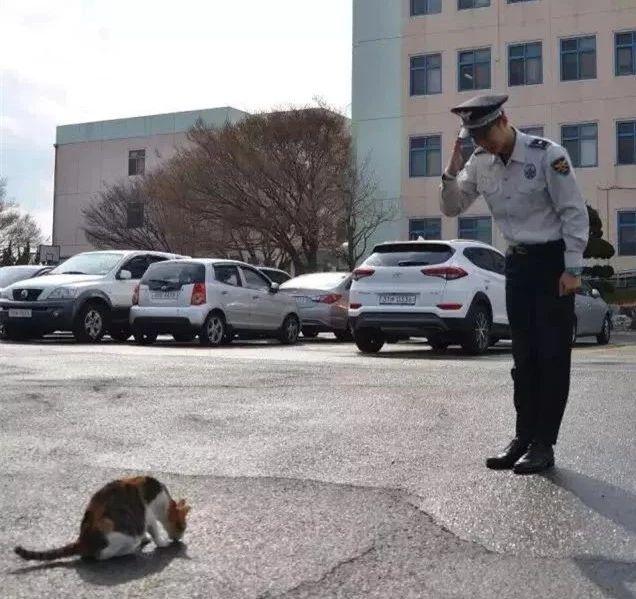 上海爷叔被警察抓了,猫咪沐浴露过期了_人教版v6.2.164