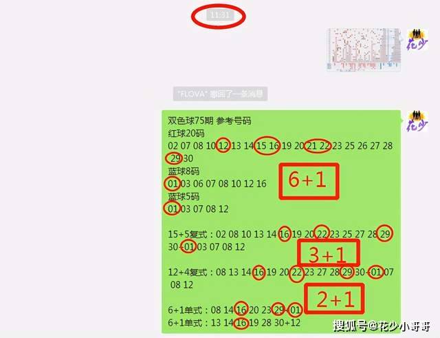 白小姐今晚特马期期准六,专业评估解析_36074.23