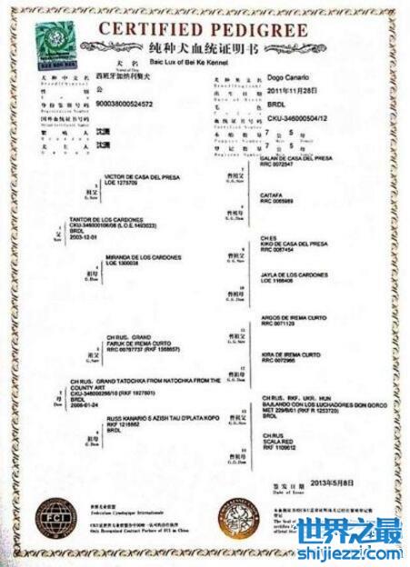 新澳精准资料免费提供最新版,狗狗办血统证,_收费版v7.3.51