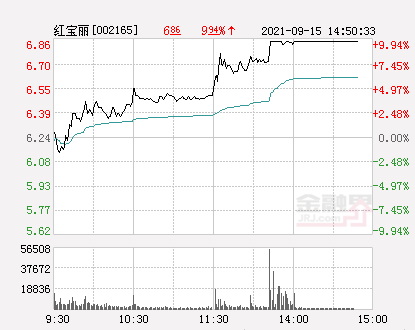 红宝丽股票最新消息深度解读与分析