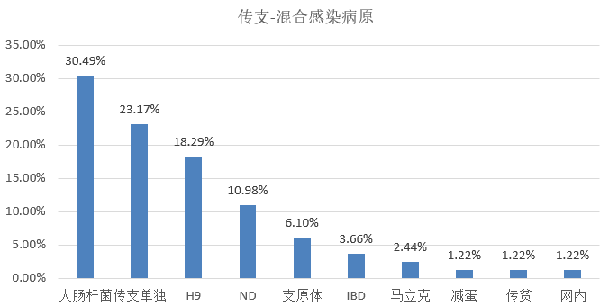 新澳最精准正最精准龙门客栈,市场趋势方案实施_专属款51.506