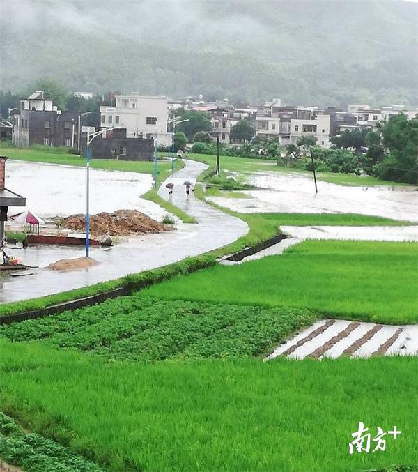 广东惠州遭遇严重水灾，最新水淹灾害消息更新