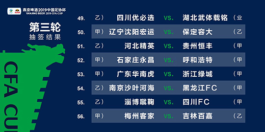 2024新澳门天天彩期期精准,经典分析说明_macOS49.502