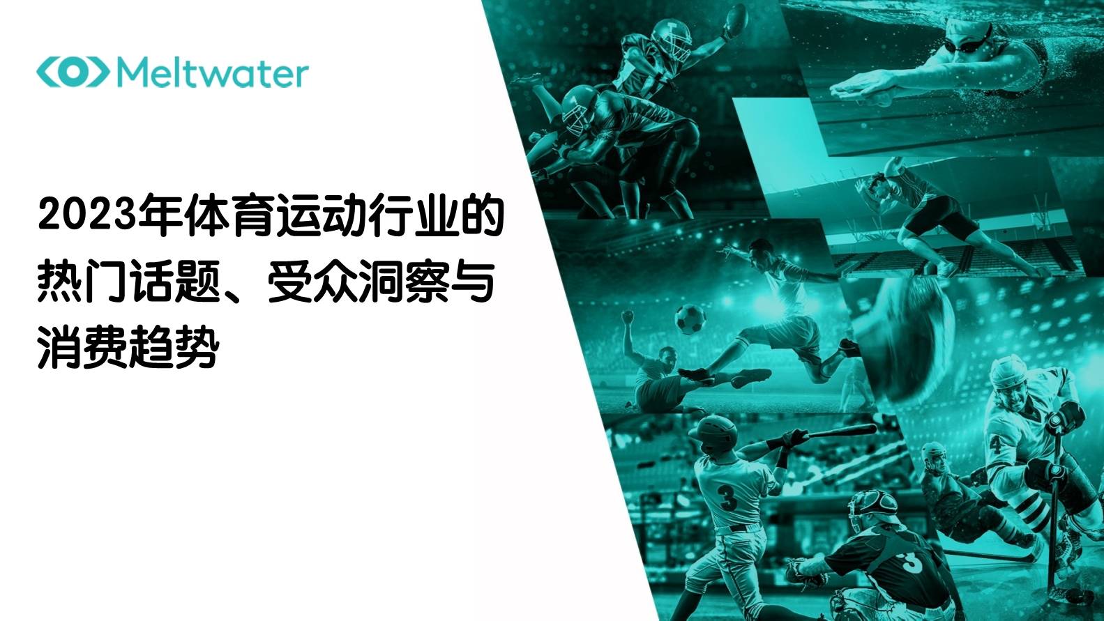 2024新奥门特免费资料的特点,实地数据评估设计_运动版42.125