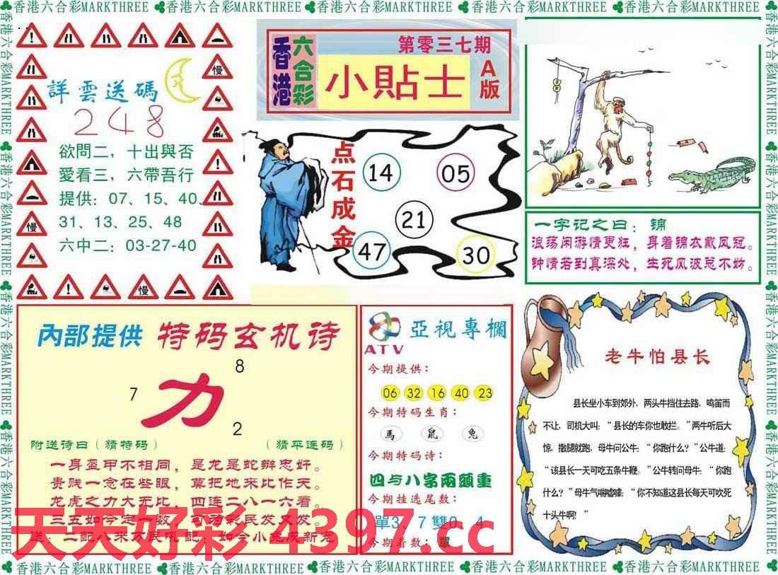 二四六天天彩资料大公开,重要性解释落实方法_游戏版256.183