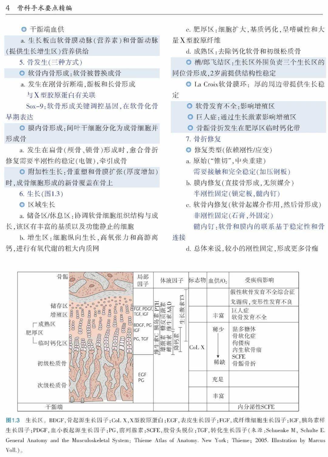 白小姐三肖三期必出一期开奖哩哩,综合评估解析说明_PT78.585