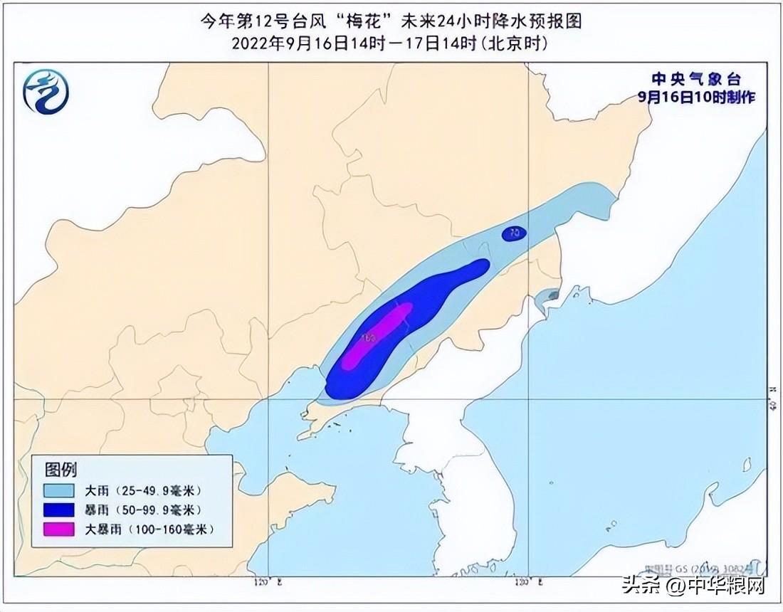 黑龙江最新台风信息及其影响分析