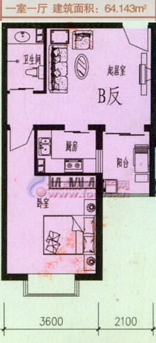 探索最新动态图网，深度解析513热点