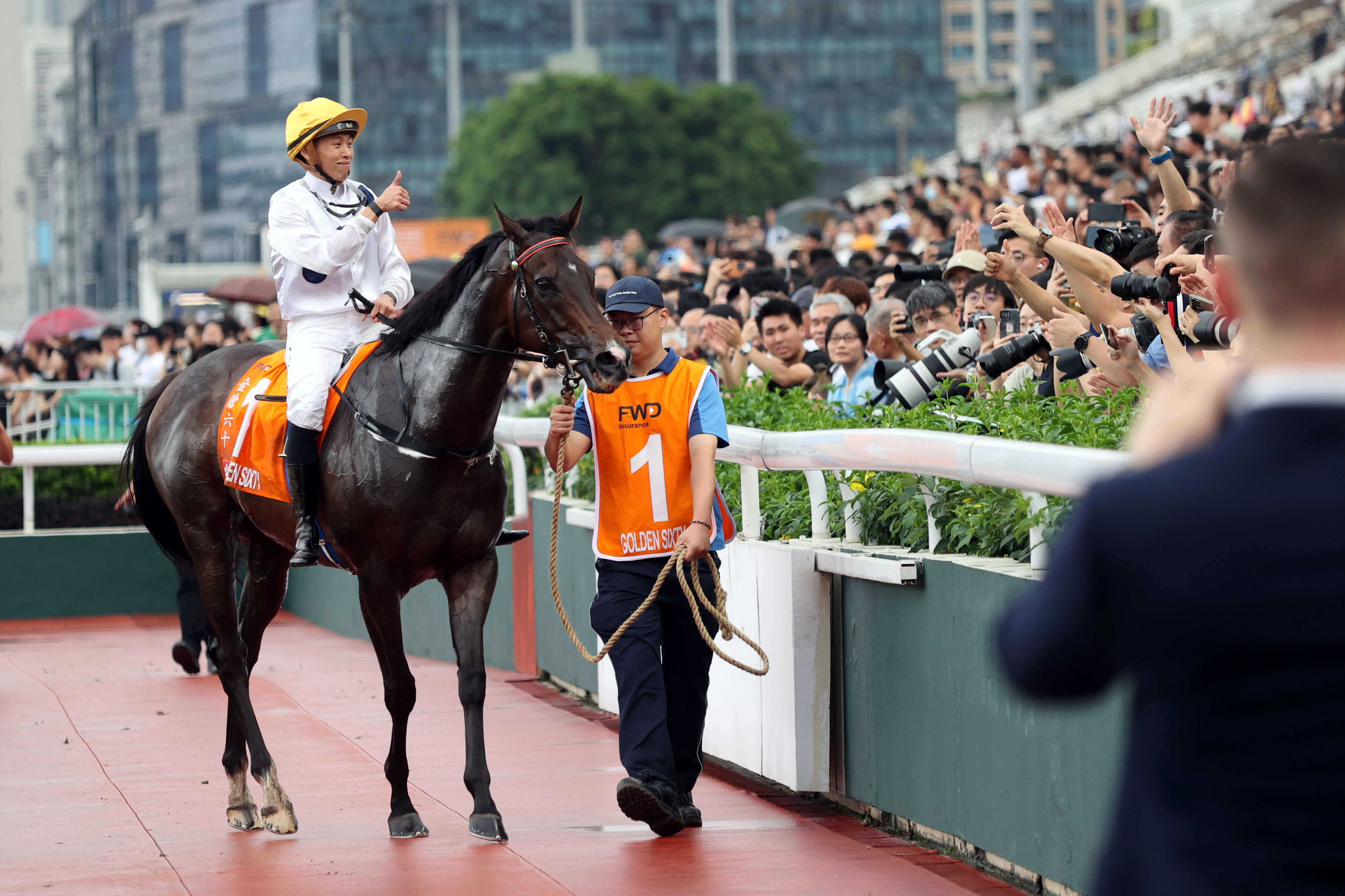 2024香港赛马全年免费资料,实地说明解析_精装款72.992