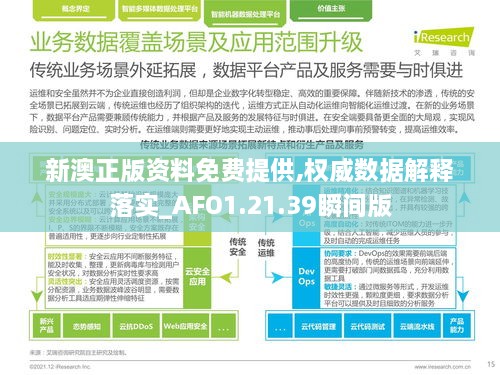 新澳内部资料免费精准37b,数据驱动执行方案_MR60.120