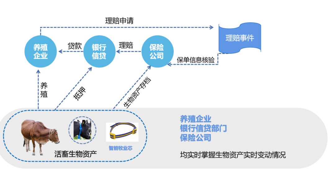 新澳门最精准正最精准,可靠性操作方案_Holo30.539