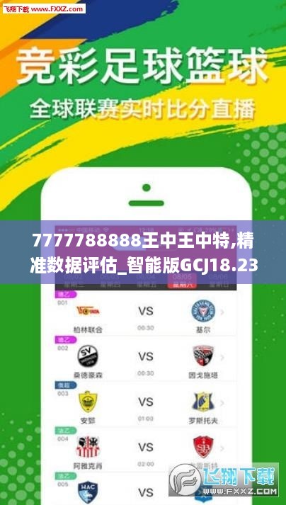 7777788888王中王中特,深度分析解释定义_9DM25.871