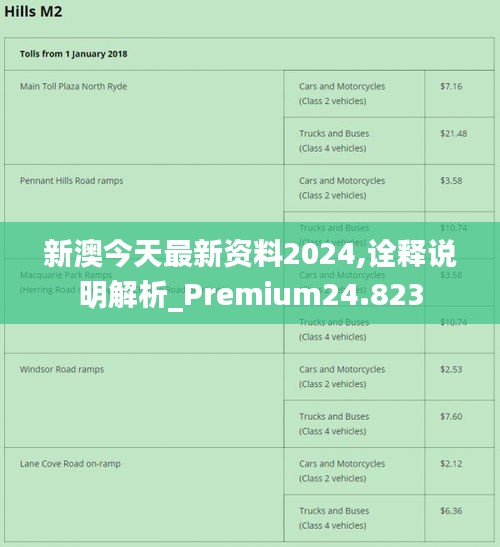 新澳2024年精准资料220期,动态解析词汇_PalmOS30.565