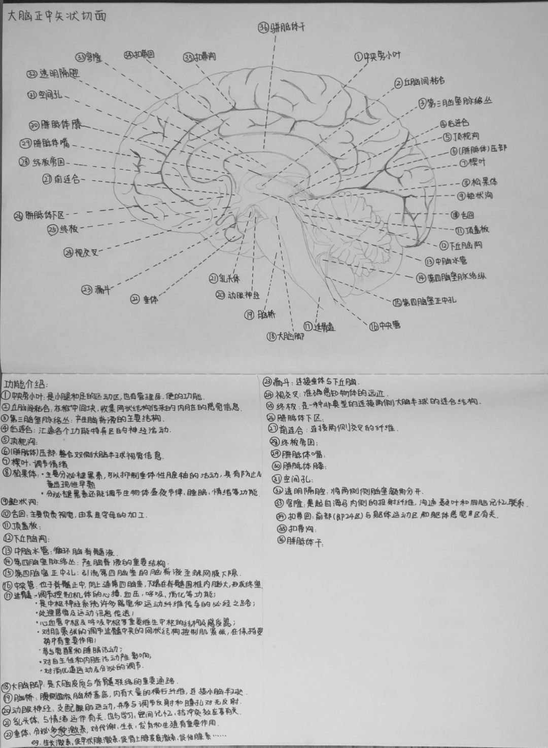 澳门三肖三码三期凤凰网诸葛亮,科学研究解释定义_超值版71.522