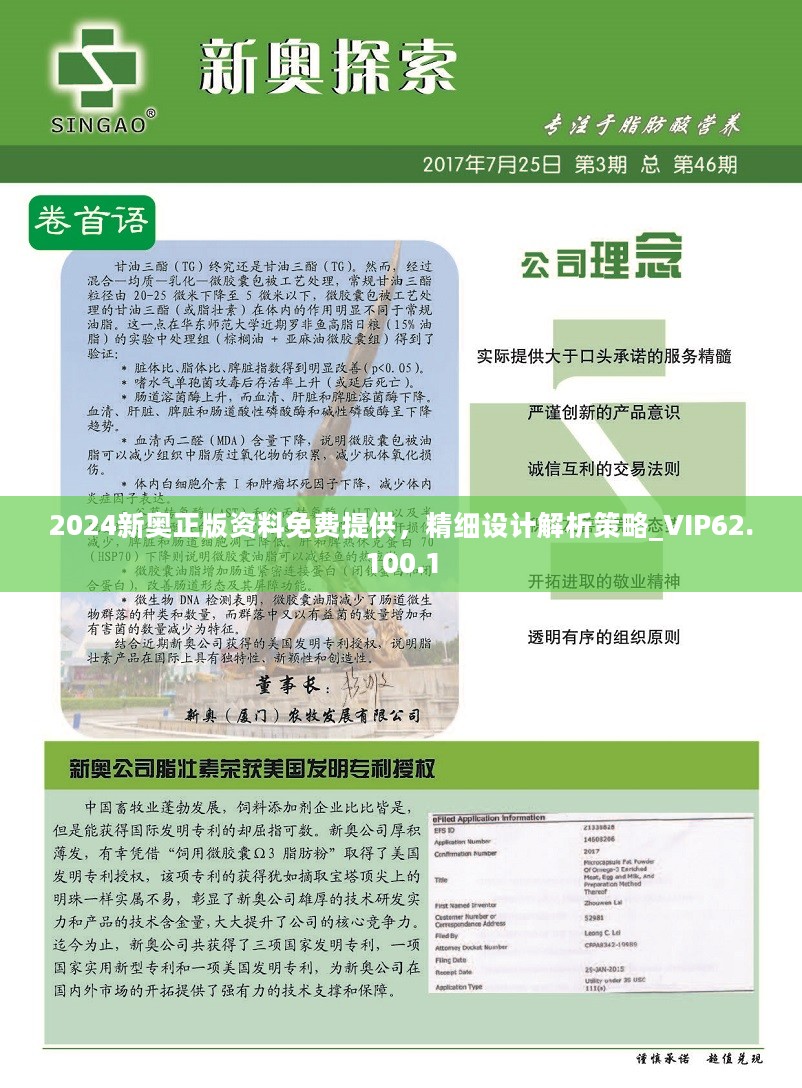 2024新奥资料免费精准109,实用性执行策略讲解_WP17.677