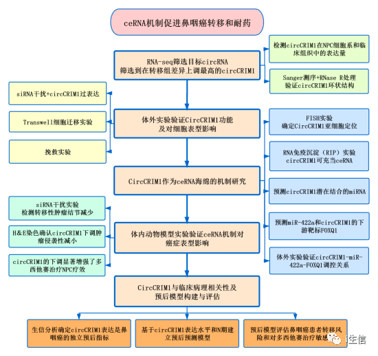 2024最新奥马资料,结构化推进评估_QHD版29.837