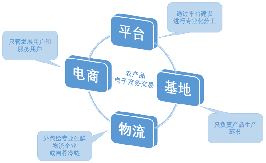 最新农村电商平台排名及影响力解析