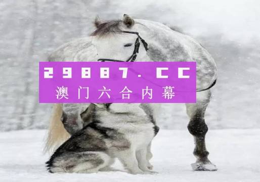 7777788888精准跑狗图,全面设计执行策略_精装版31.668