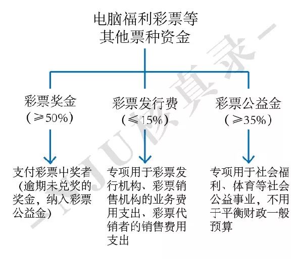 王云戈新星揭秘，最新动态与耀眼背后的秘密面纱