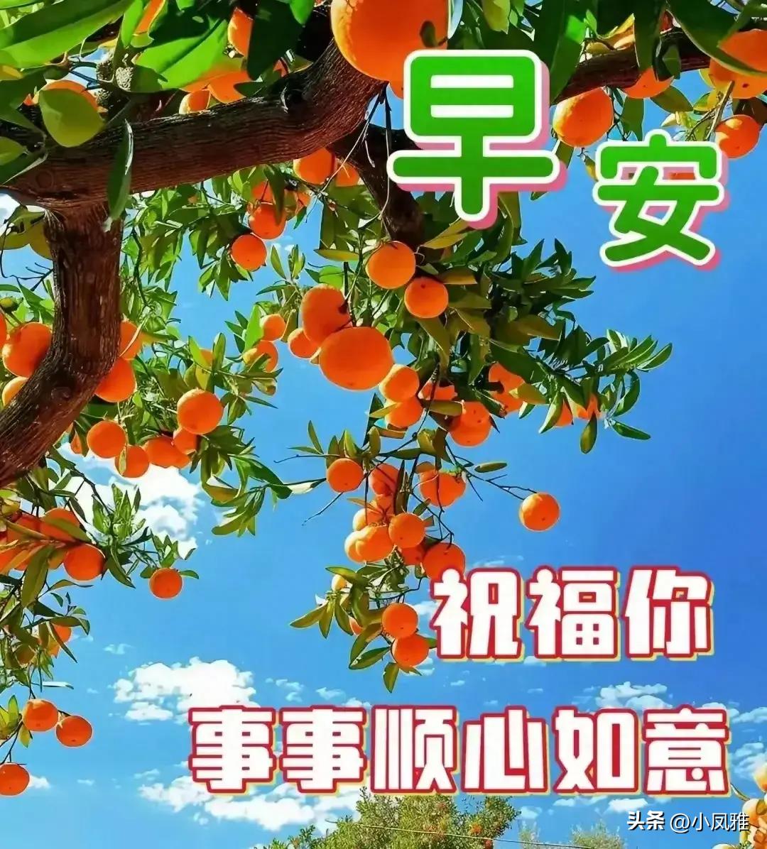 不会在 第34页