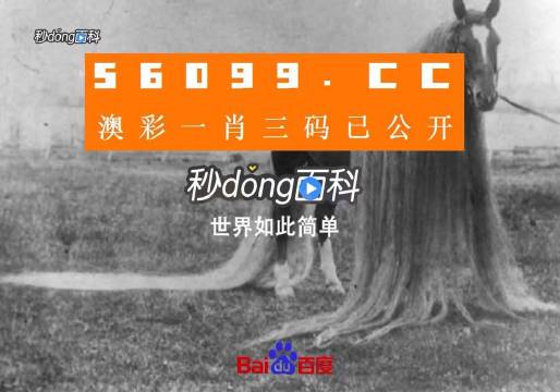 澳门一肖一码一必中一肖同舟前进,权威推进方法_挑战版18.734