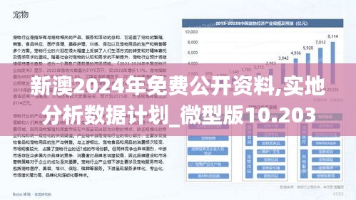 2024新澳资料免费精准17期,深入应用解析数据_BT11.321