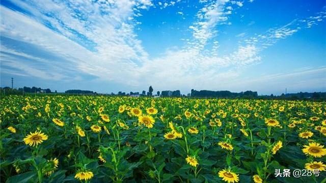 登封市最新地图展现城市发展与变迁全貌