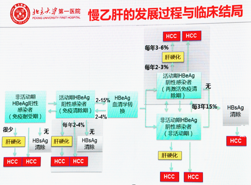 慢性乙肝治疗最新进展概览