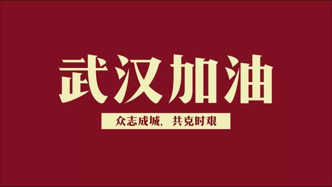 全球疫情最新数据报告，动态分析与趋势预测（截至6月24日）