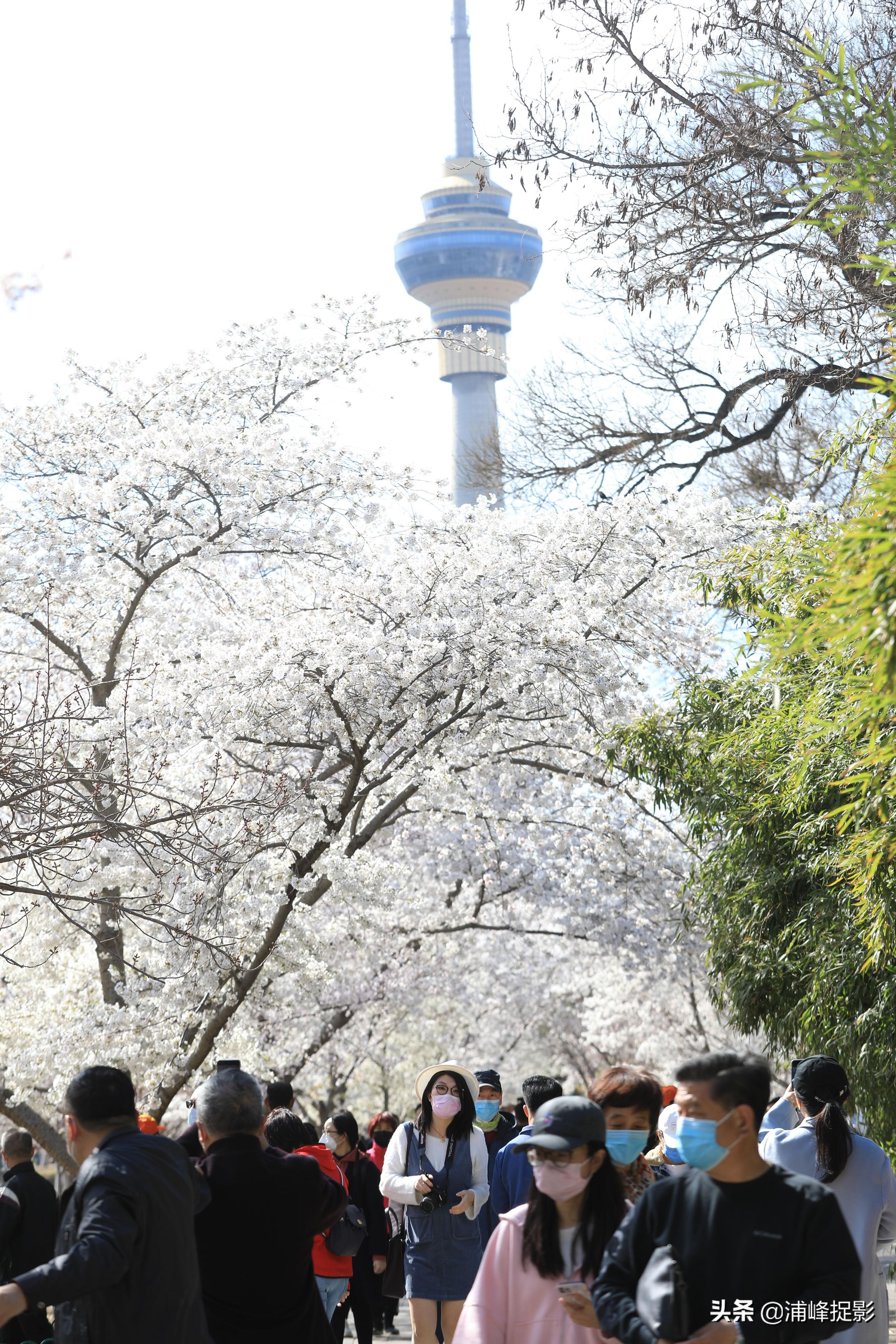 北京疫情防控新举措，筑牢防线，守护健康