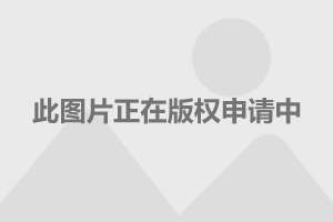 女性最新退休年龄的社会趋势与多元视角探讨分析