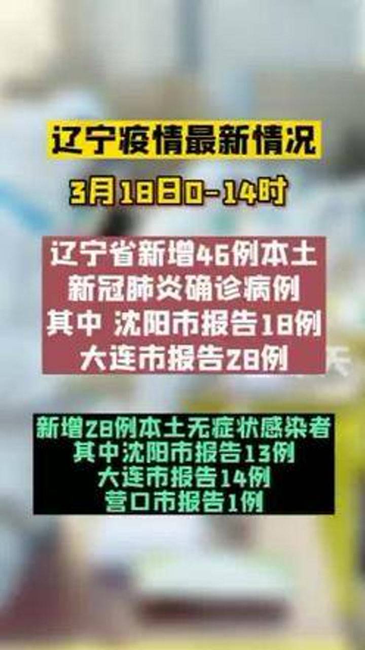 中国疫情最新确诊报告更新（截至XX月XX日），动态聚焦与全民防控长城在行动