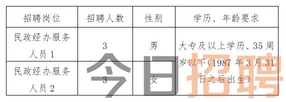 大浪街道最新招聘动态与就业机会深度探讨