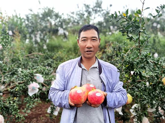 石榴鲜甜盛宴，品味季节的魅力